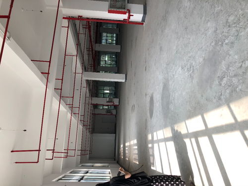 图 松江精品小面积厂房1000平底楼出租可环评 上海厂房 仓库 土地